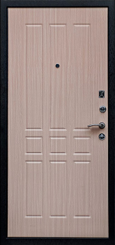 Фотография «Дверь с терморазрывом №12»